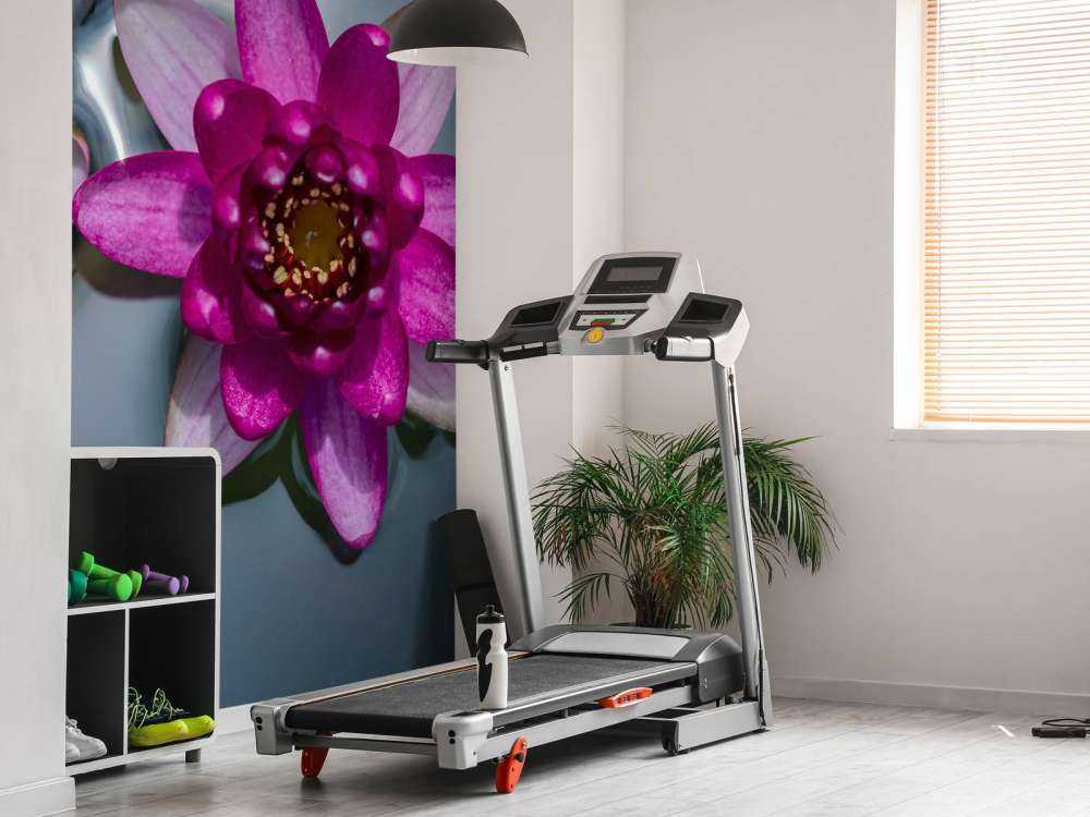 Pink lotus flower in the water