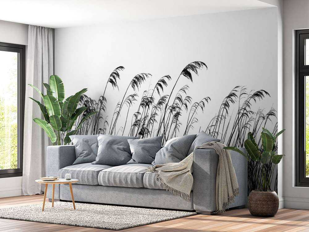 Reed along the waterfront in black and white