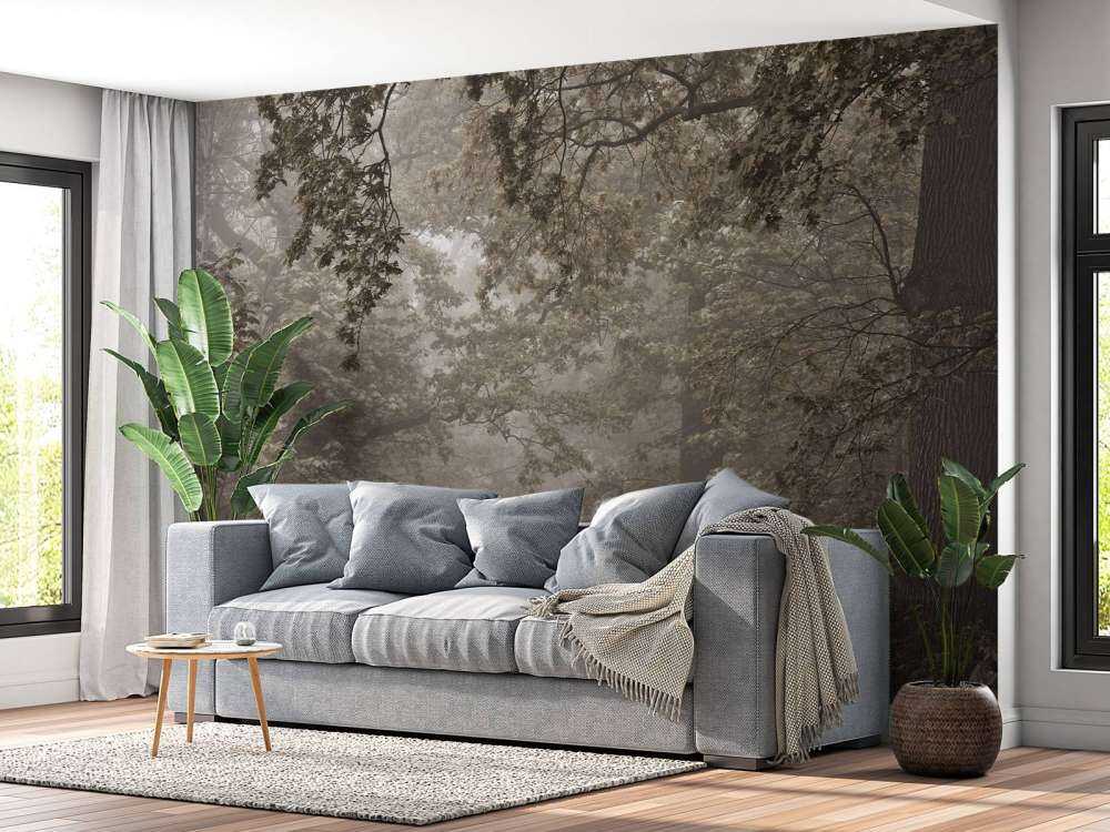 Path through misty forest