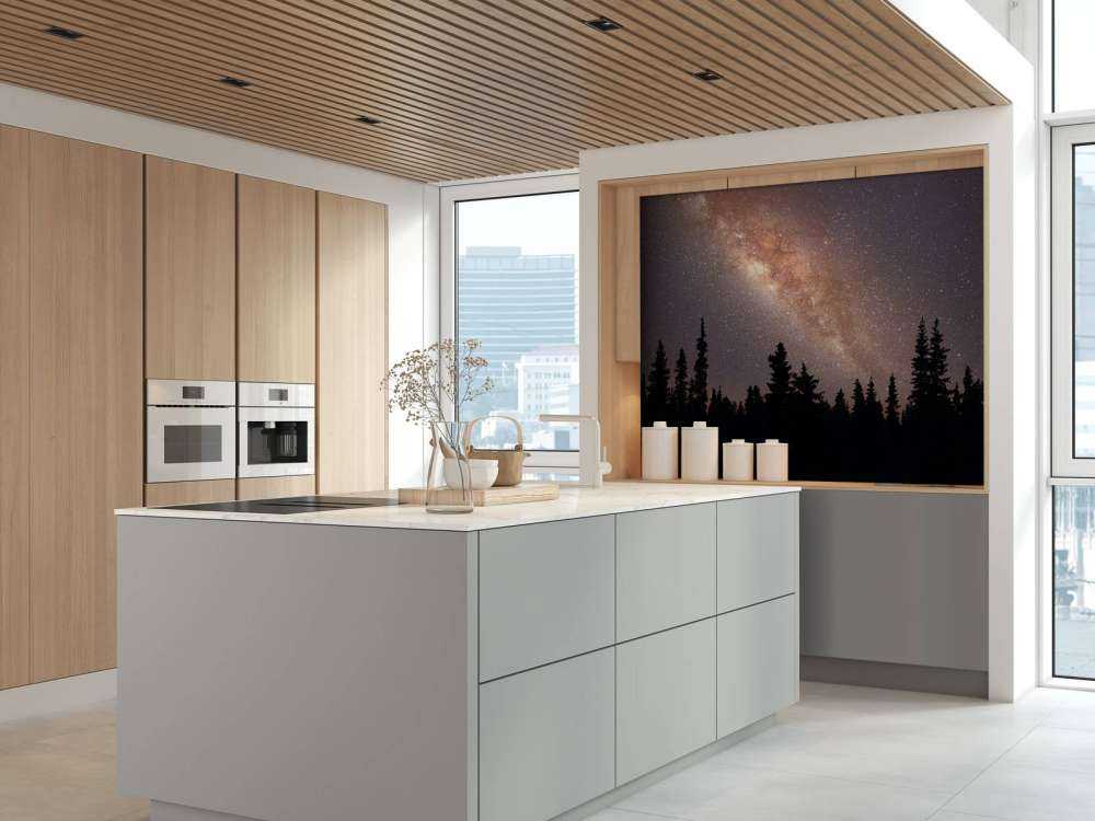 Milky way above silhouette of trees