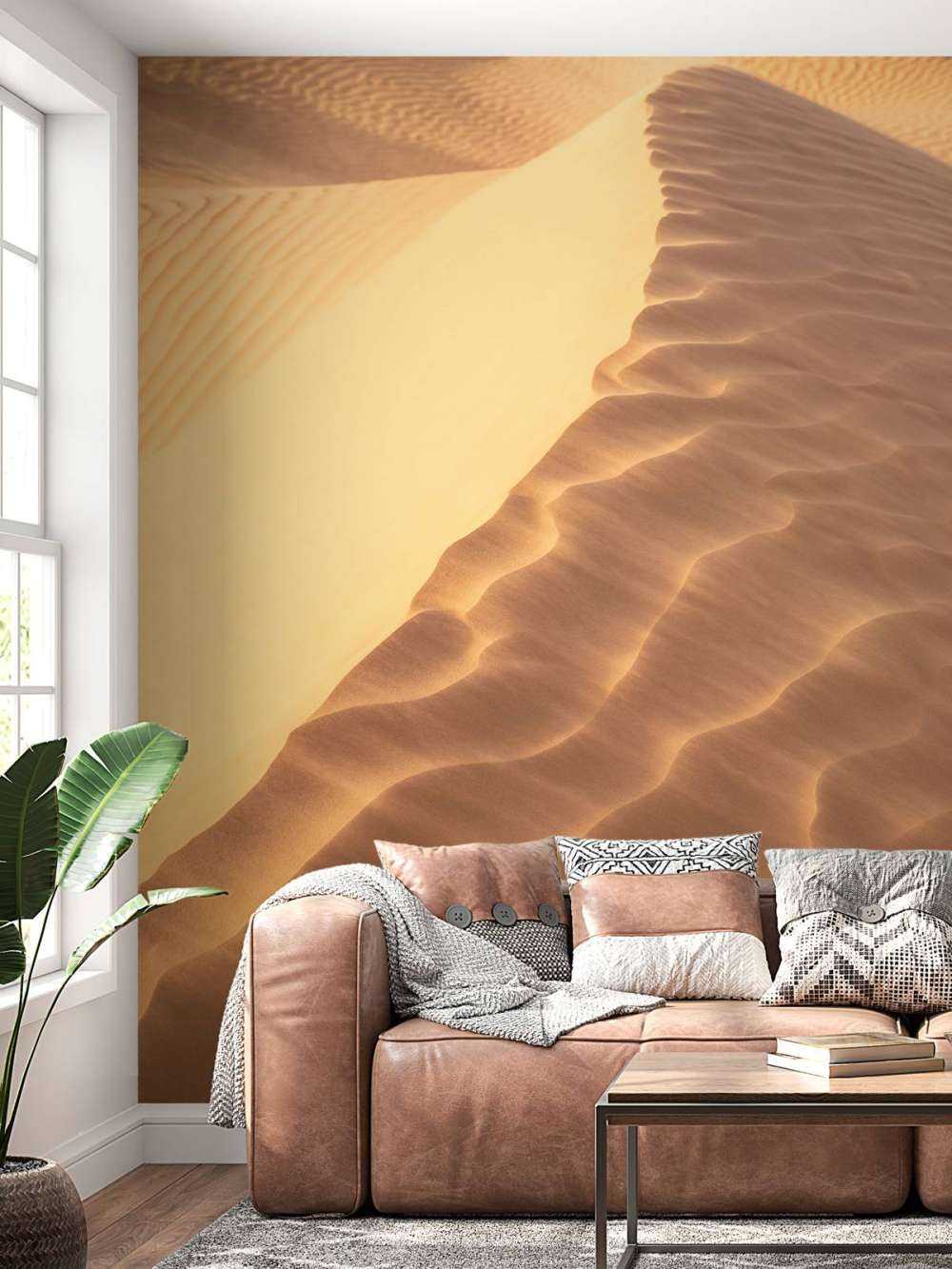 Sand dunes from above