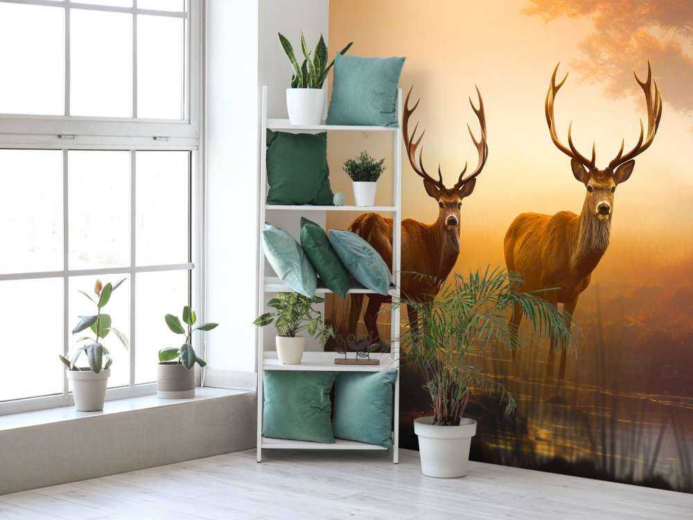 Morning Glory Deer Splendor