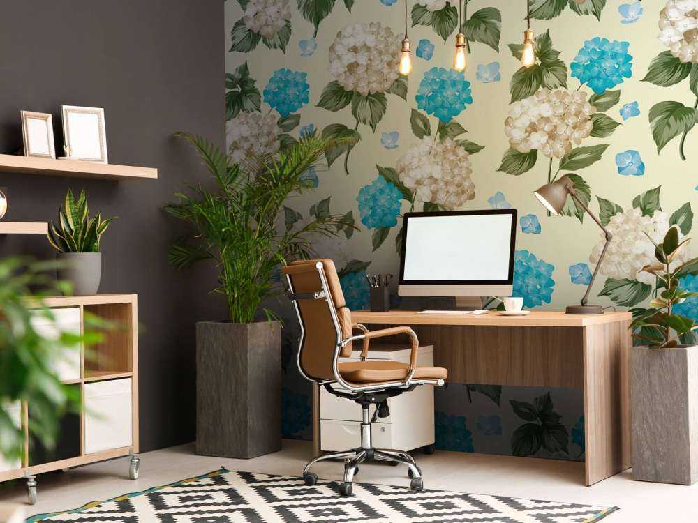 Spring Breeze Hydrangea