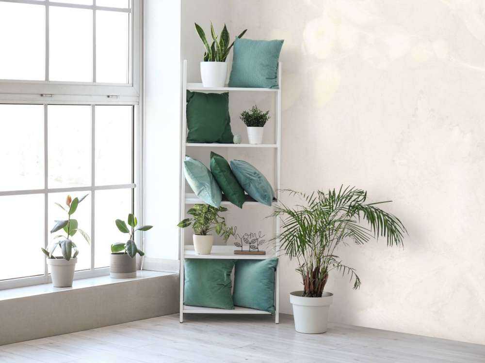 Snowberry and wild blackberry - shadow play