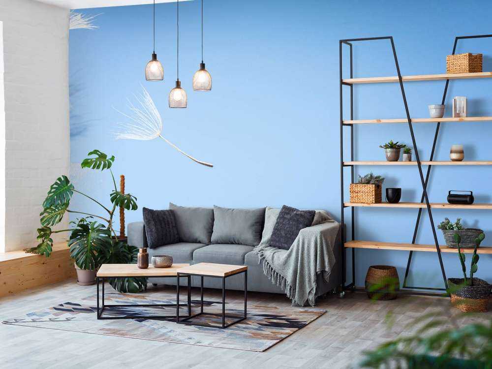 Flying dandelion fluff