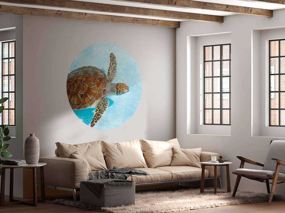 Turtle in the water