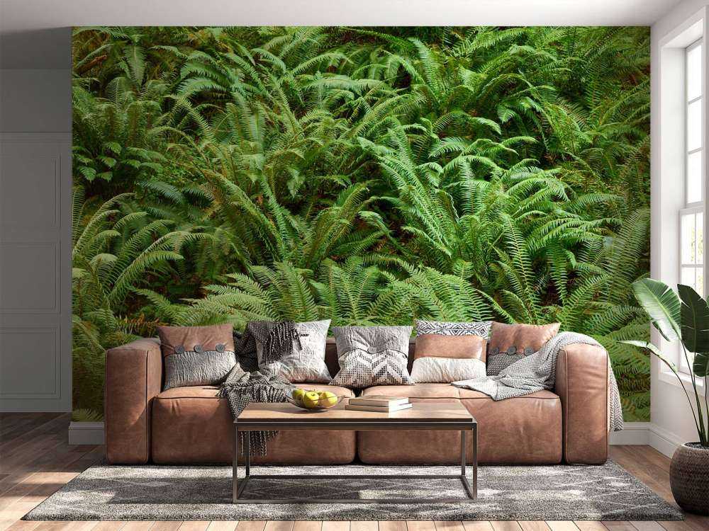 Green ferns