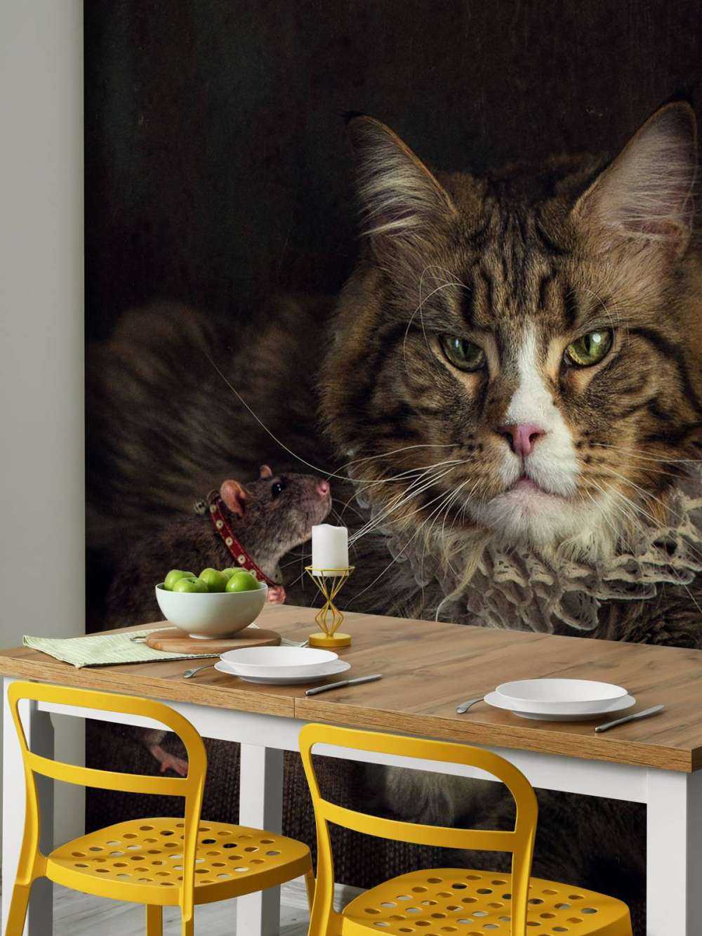 Muis en kat