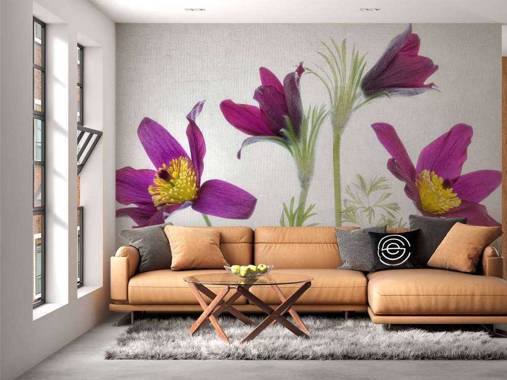 Pulsatilla