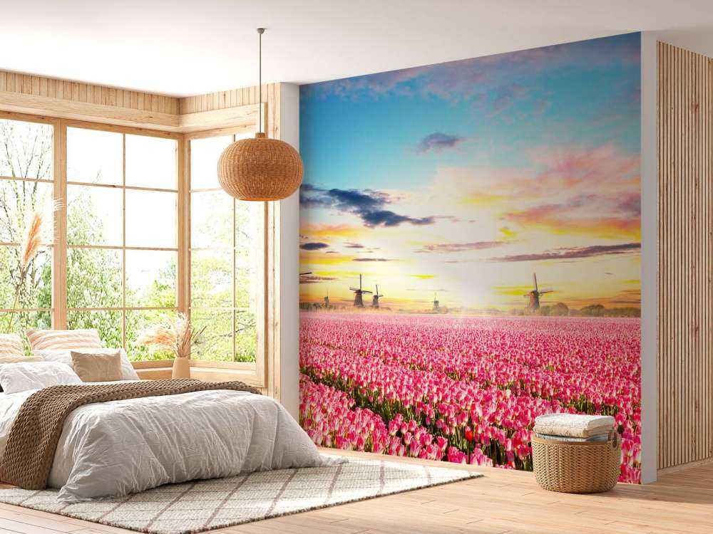 Hollands roze tulpenveld