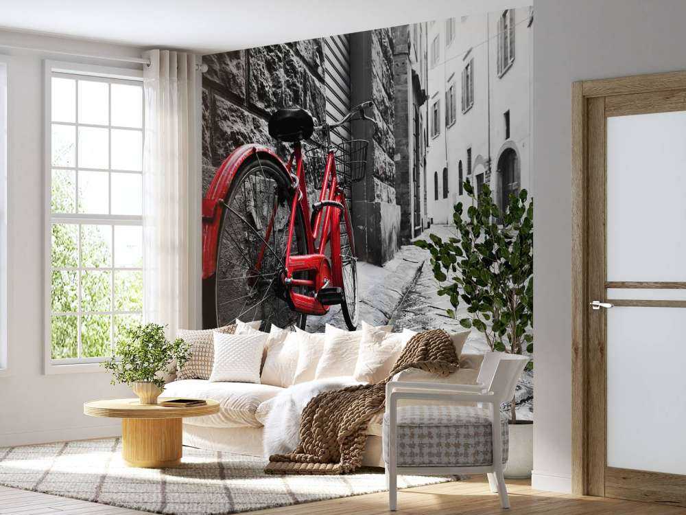 Rode fiets in een zwart-witte straat
