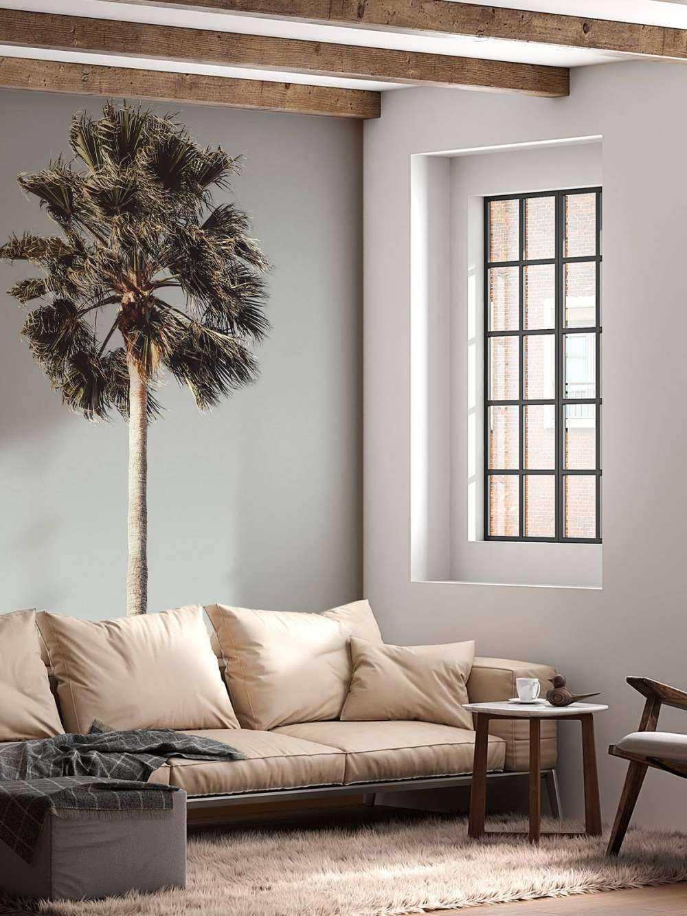 Windy Palm 