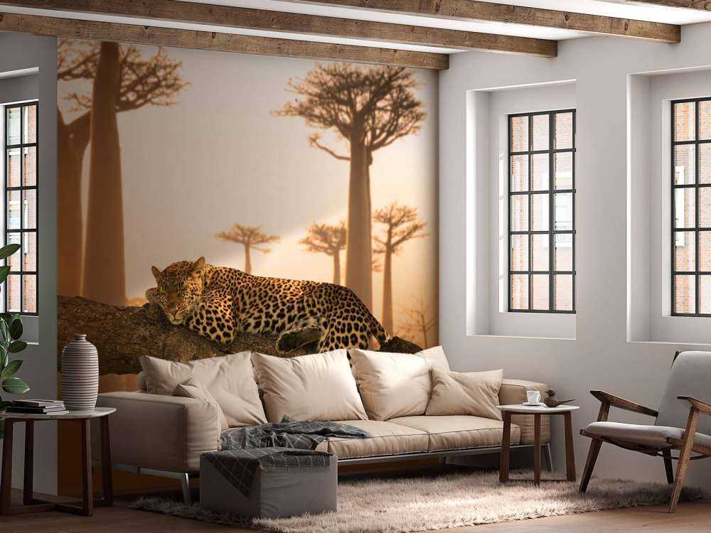 Sleeping leopard