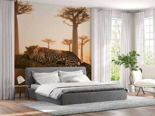 Sleeping leopard