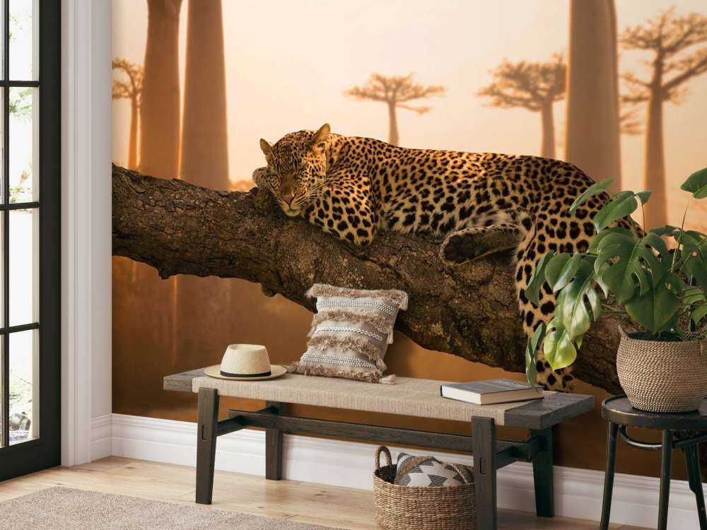 Sleeping leopard