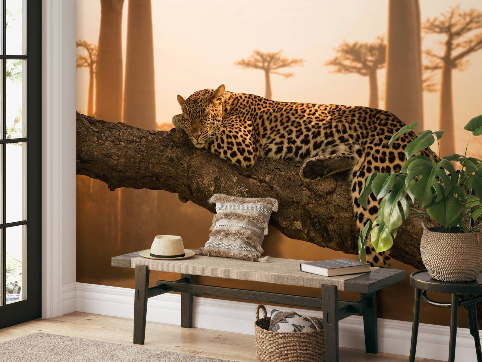 Sleeping leopard