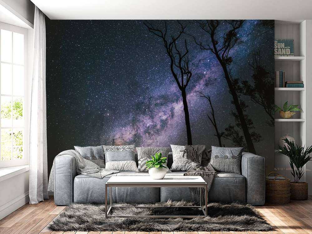 Stars between the trees