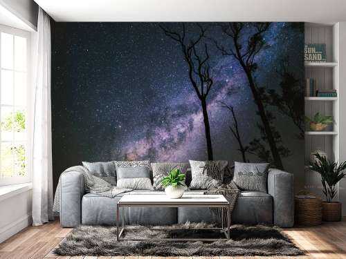 Stars between the trees
