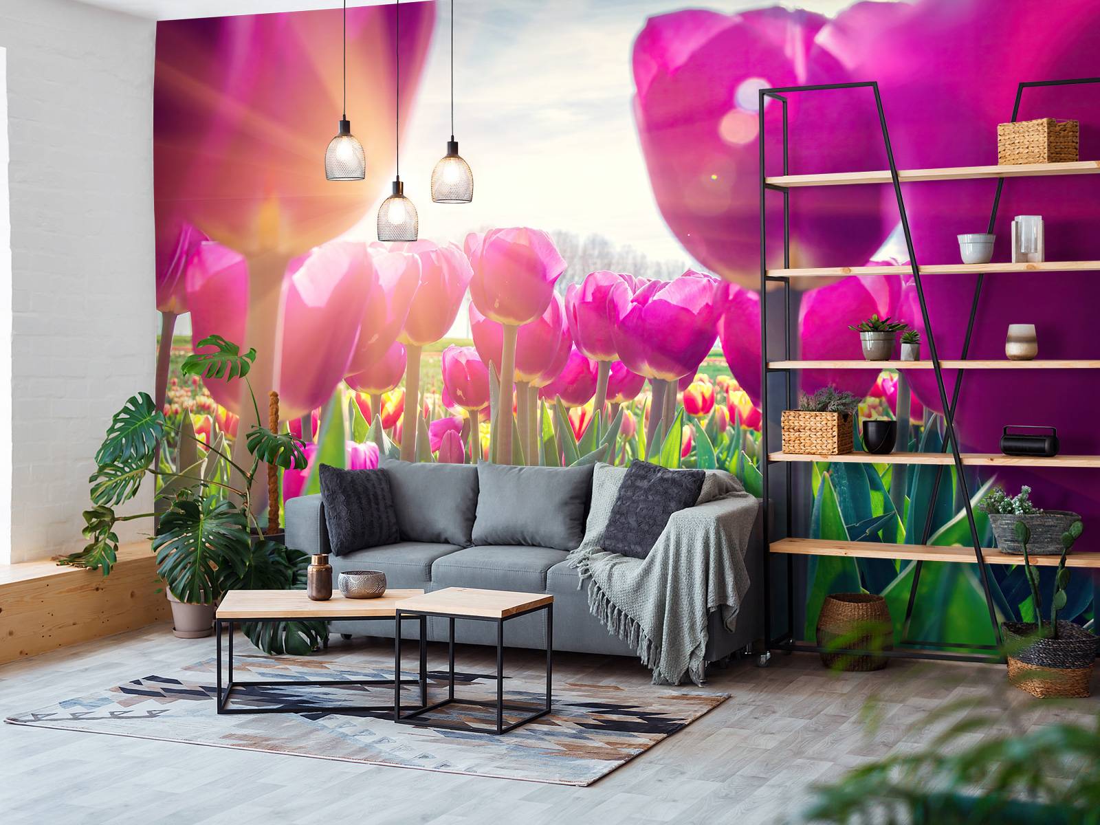 Tulipfield pink