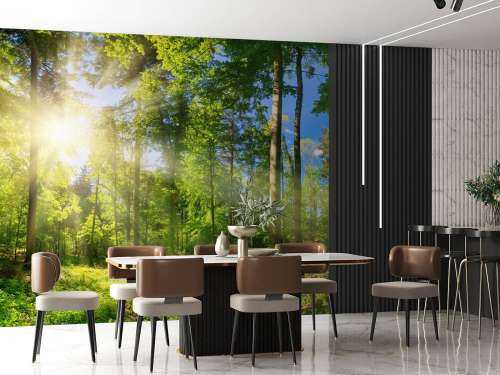 Forest with sunbeams
