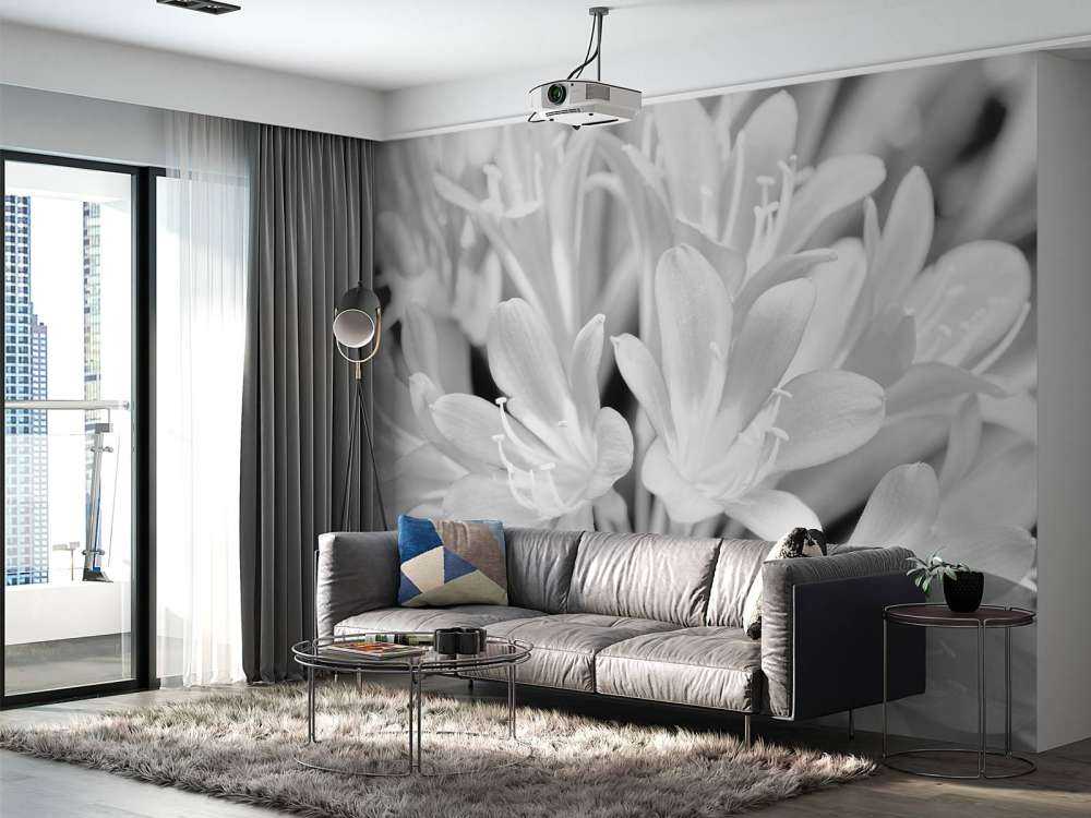 Flowers in bloom, black and white