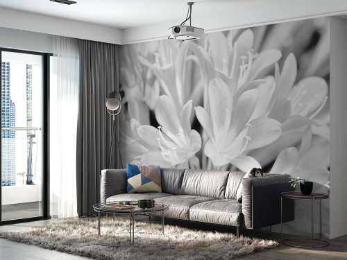 Flowers in bloom, black and white