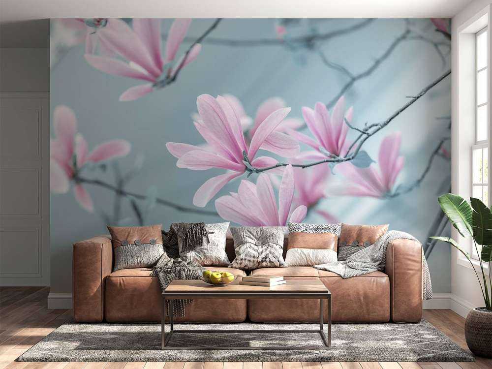 Magnolia flowers