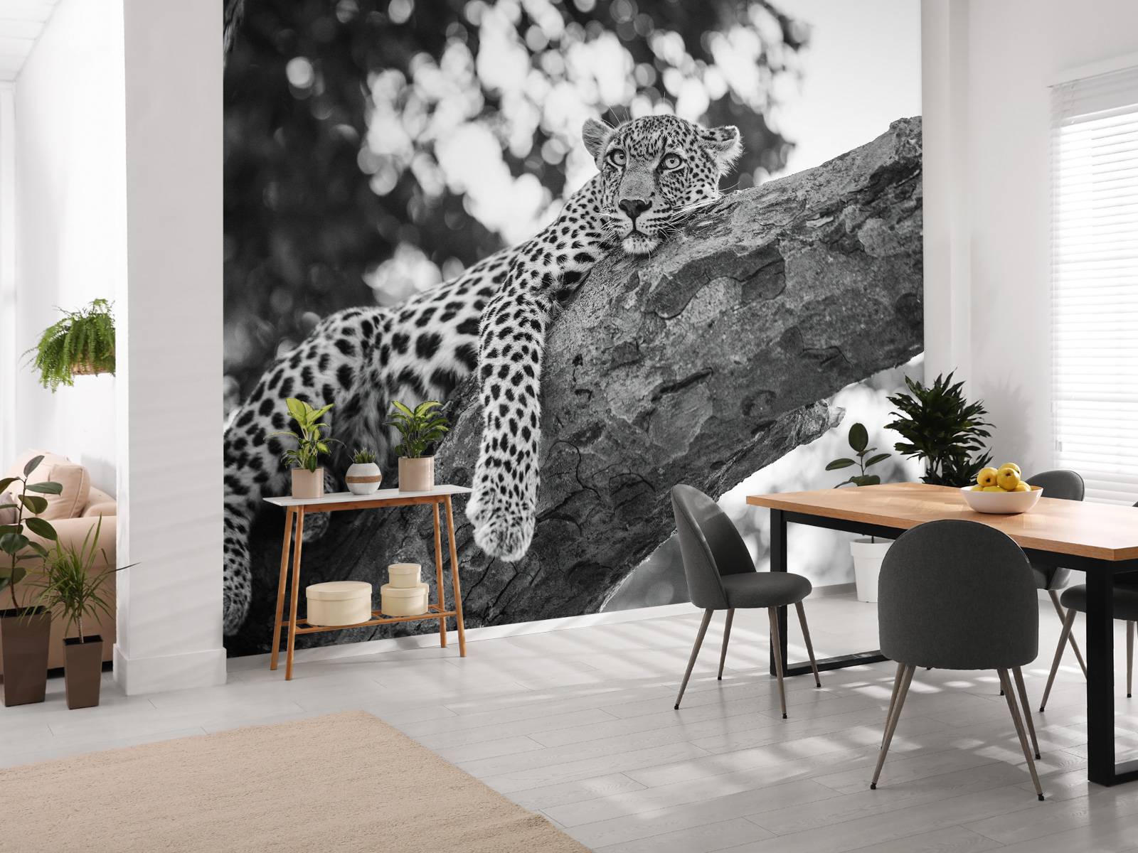 Resting Leopard