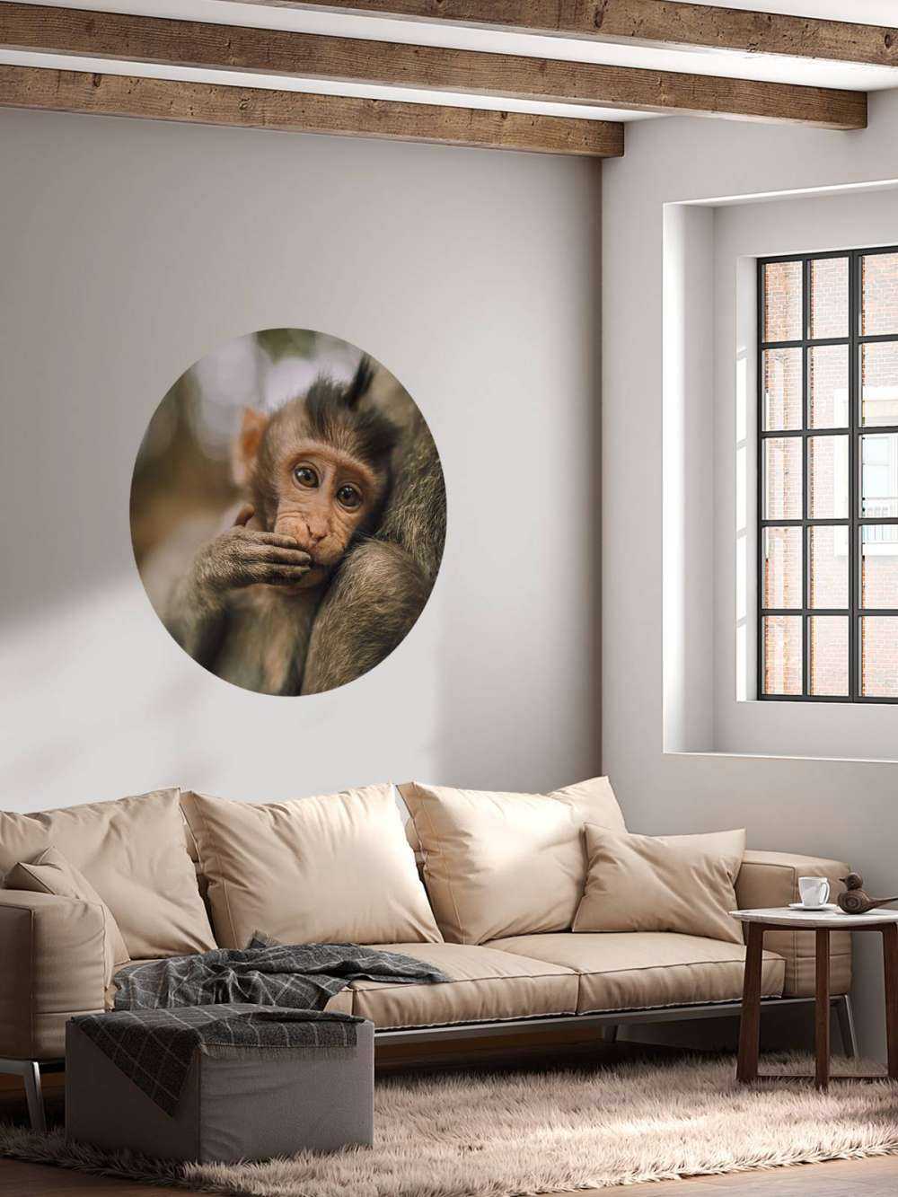 Close-up of a monkey