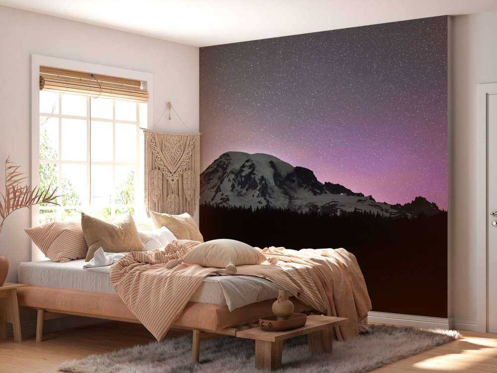 Mount Rainier with northern lights