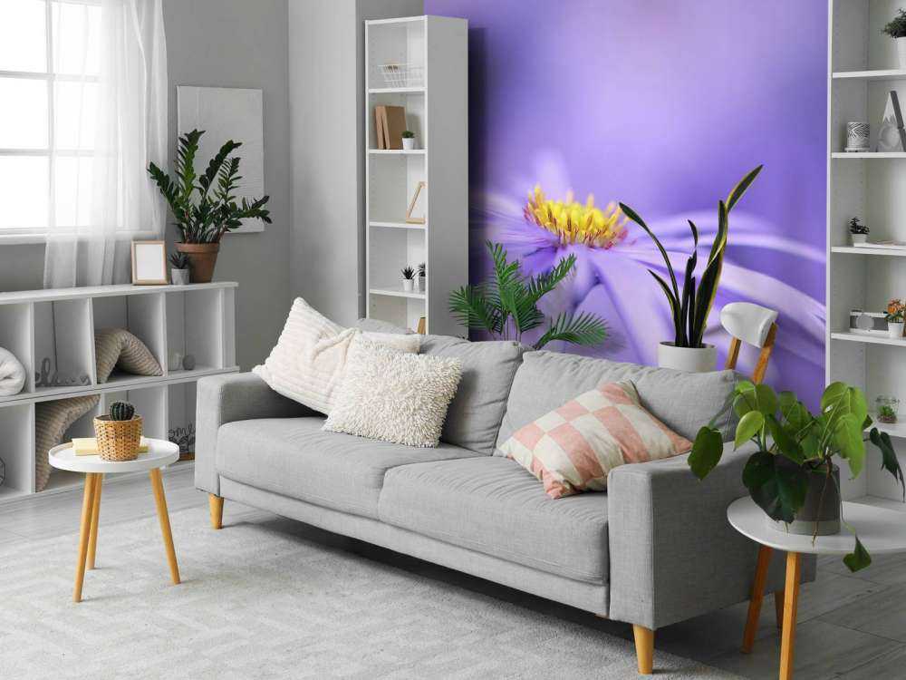 Purple Daisies