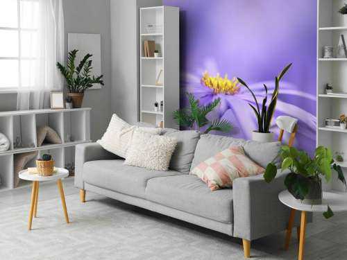Purple Daisies