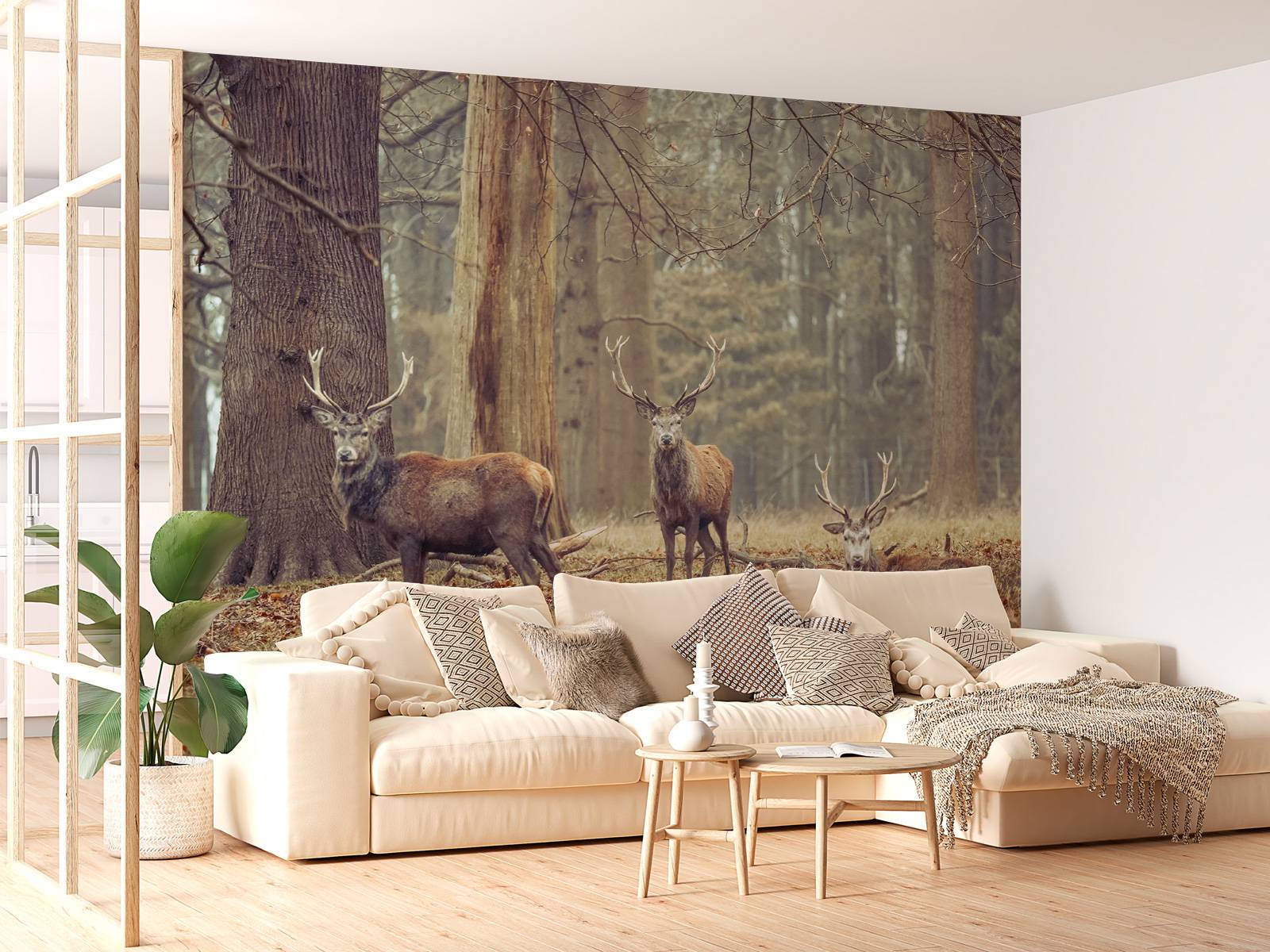Wild deer