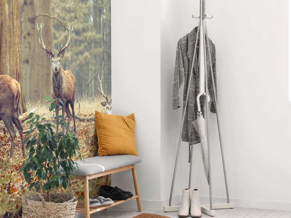 Wild deer