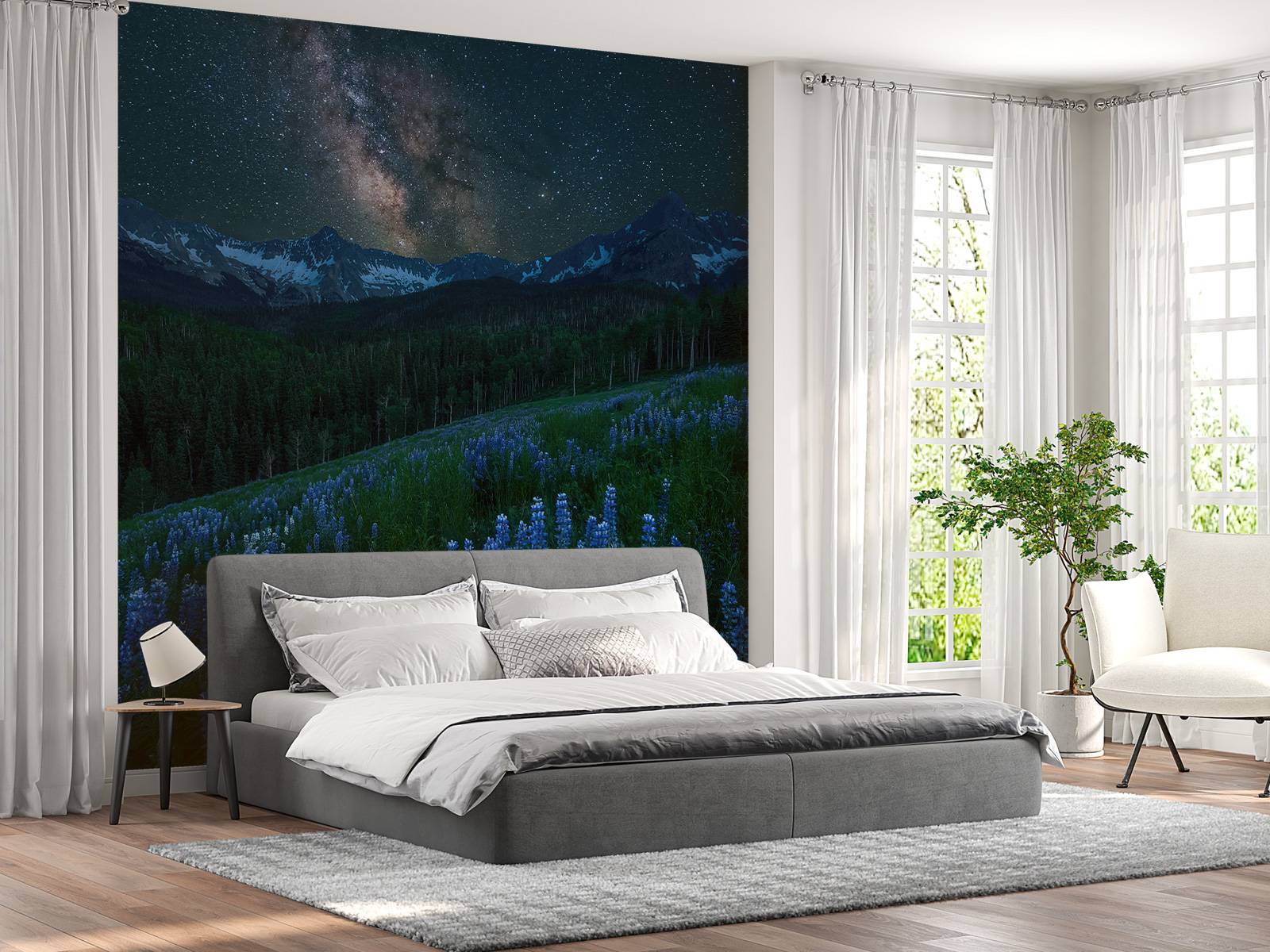 Milky Way over Lupine Slope