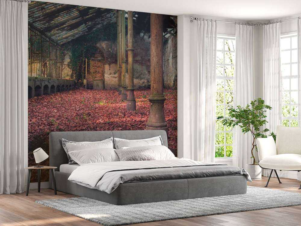 Abandoned house with leaves