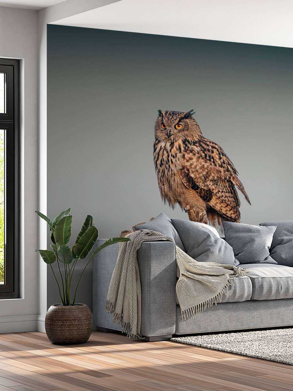 Eagle owl