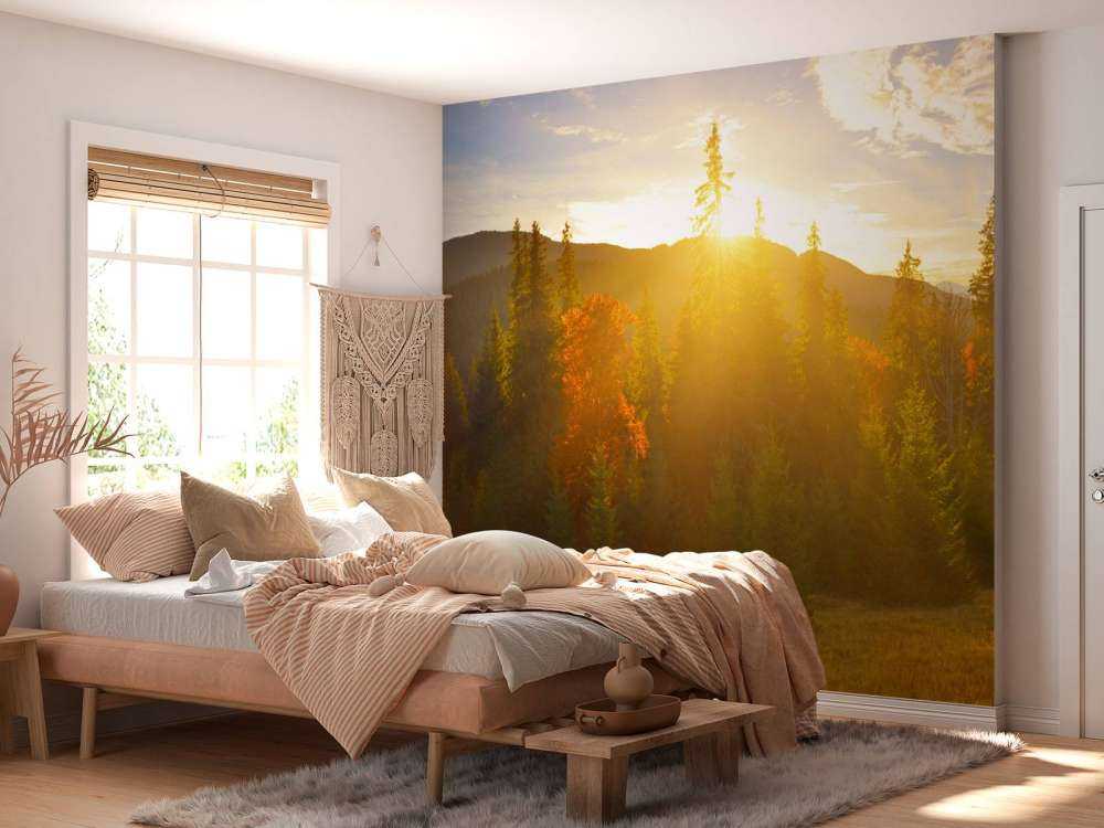 Pine forest panorama