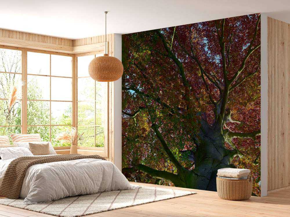 Boom met gekleurde bladeren