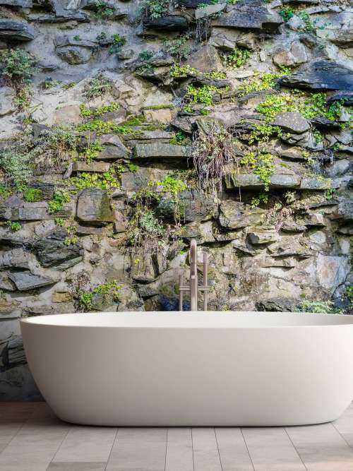 Overgrown wall