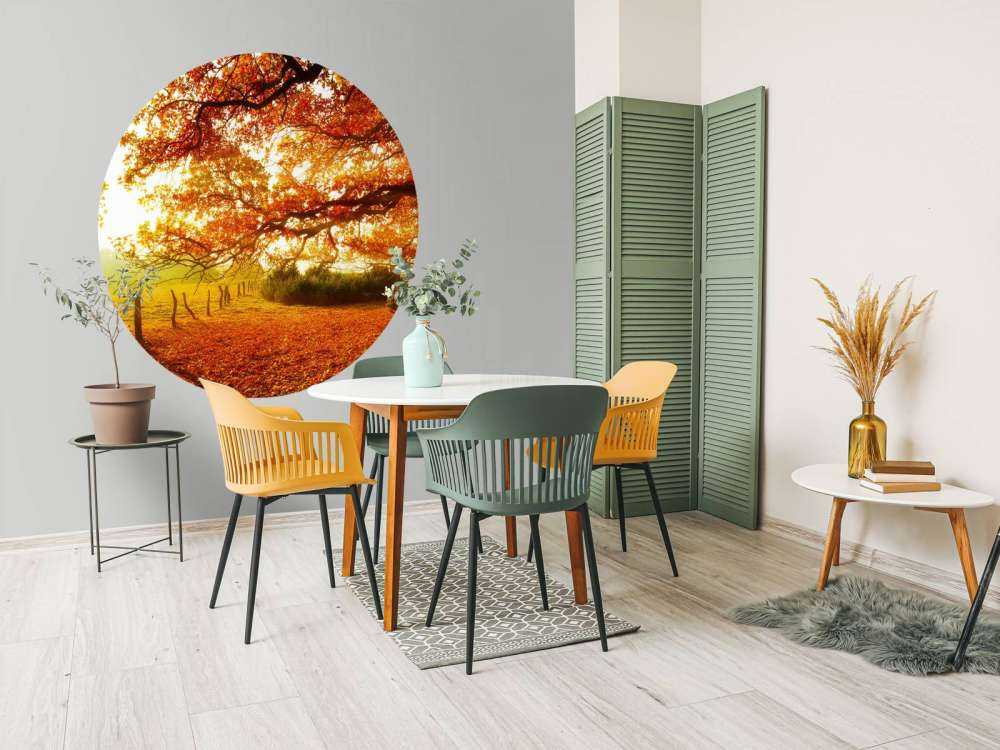 Autumn landscape with forest and meadow