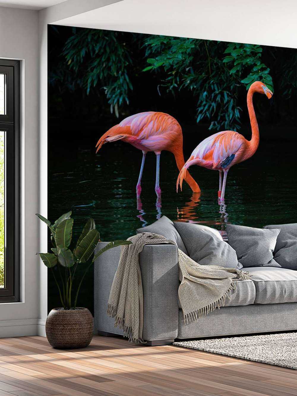 Two Caribbean flamingos