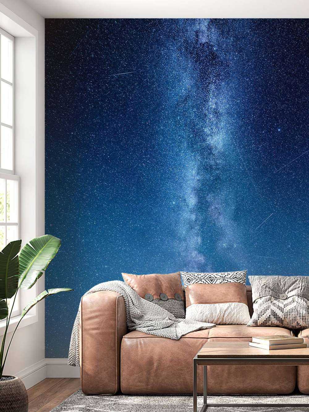 Photo of the Milky Way