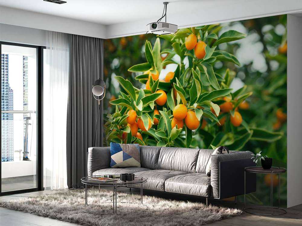 Fruit tree