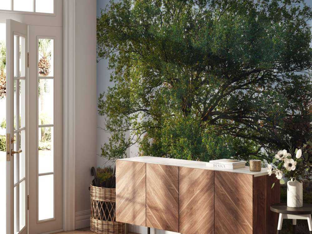 Lonely tree on the heath