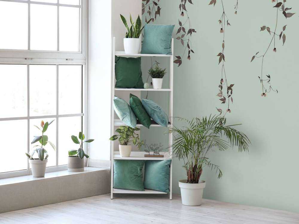 Clematis twigs on gray green