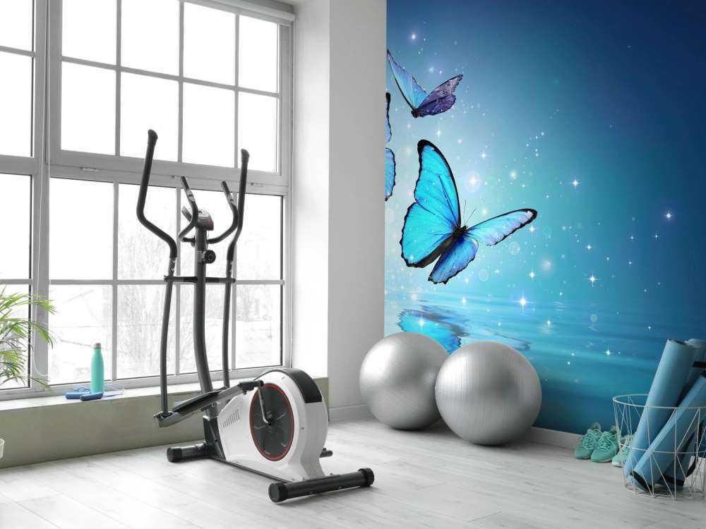 Fairy butterflies on water