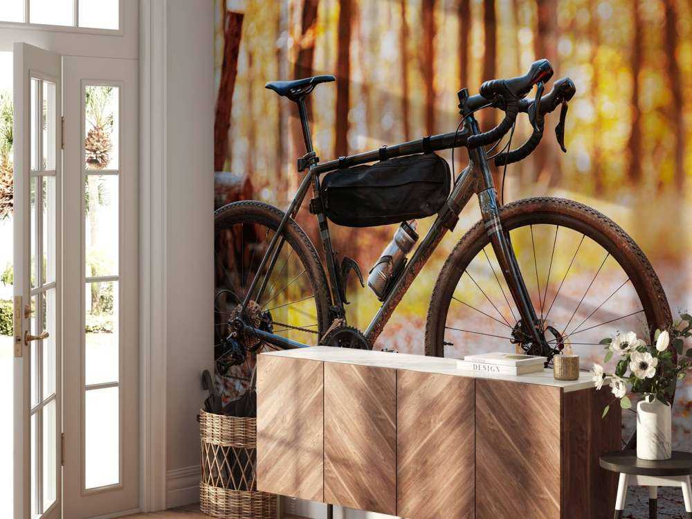 Bike in autumn