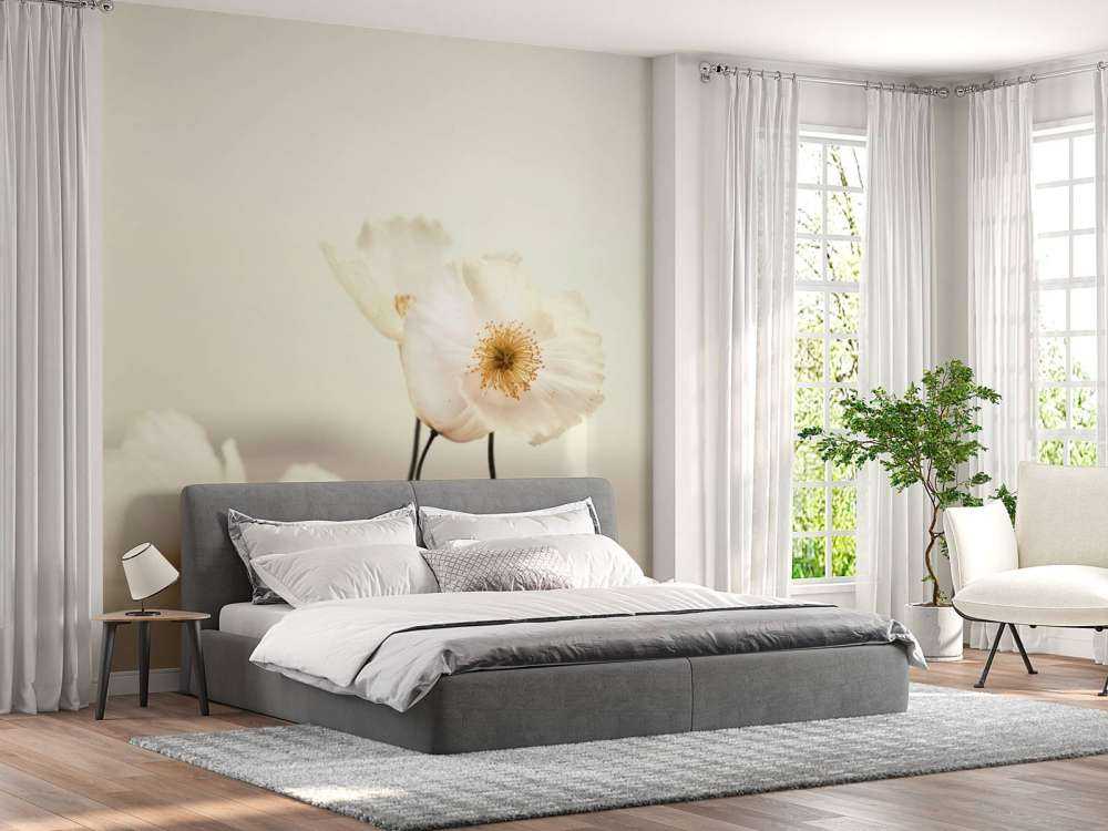 White poppies close-up