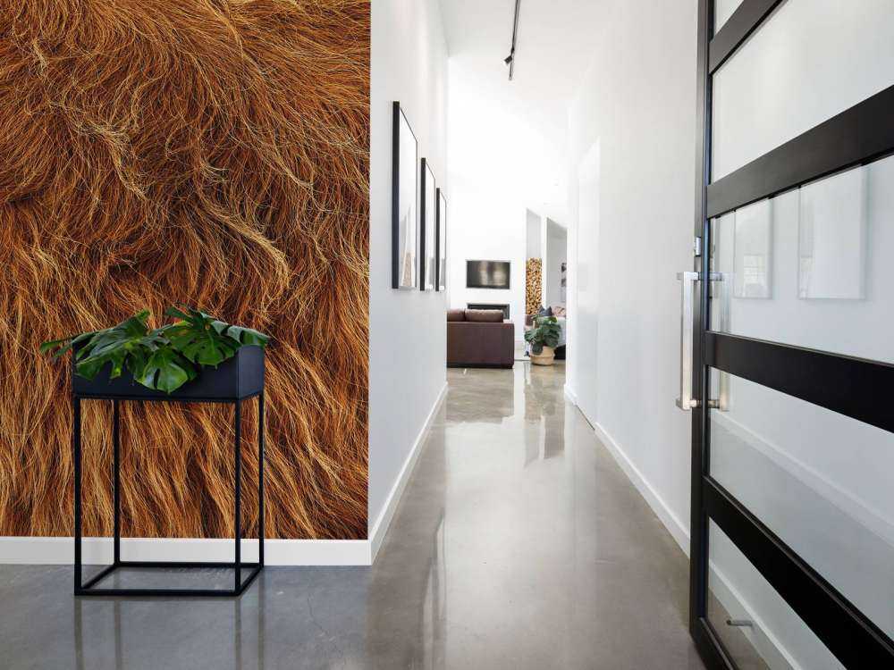 Vintage Scottish Highlander coat